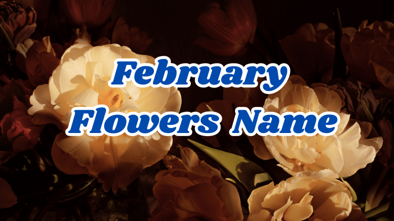 February Flowers Name