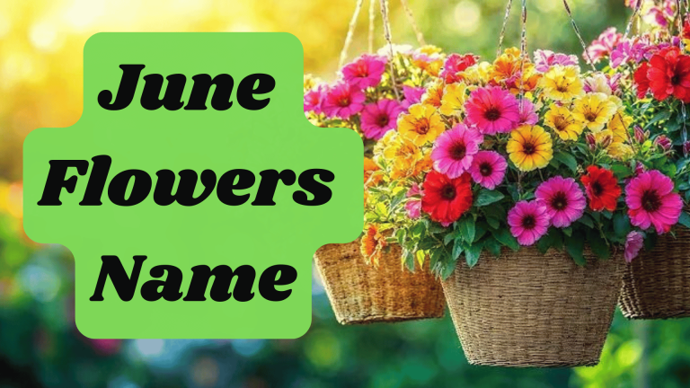 June Flowers Name