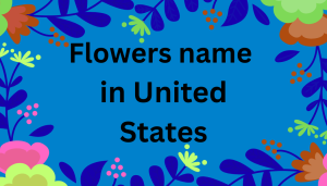 Flowers name in United States