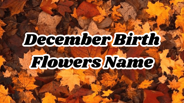December Birth Flowers Name