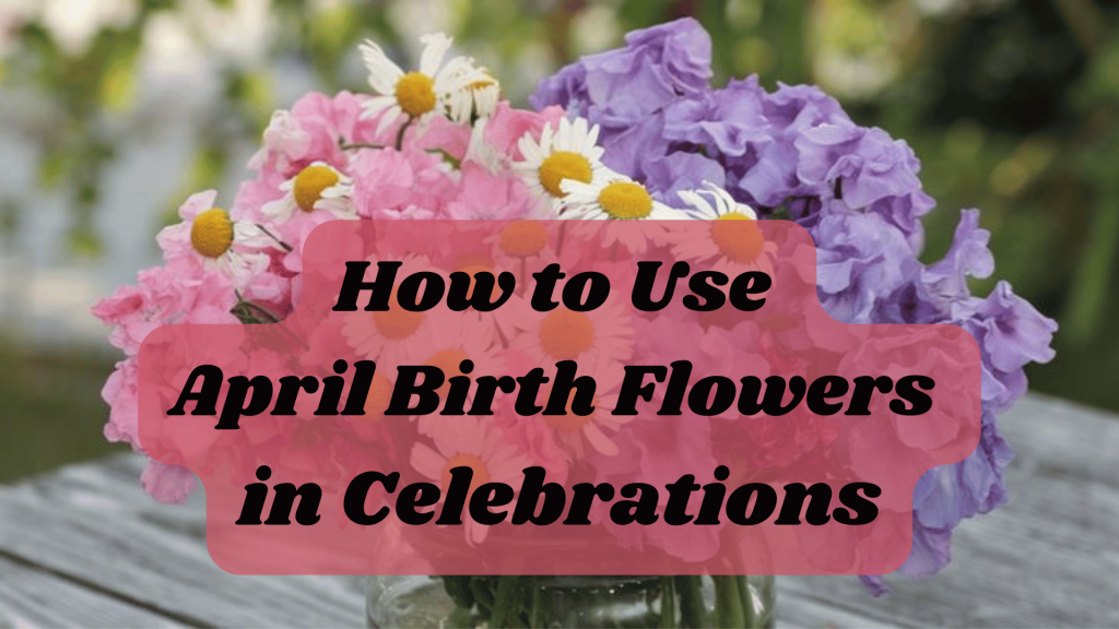 How to Use April Birth Flowers in Celebrations