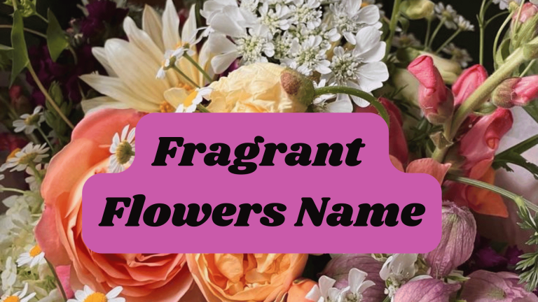 Fragrant Flowers Name
