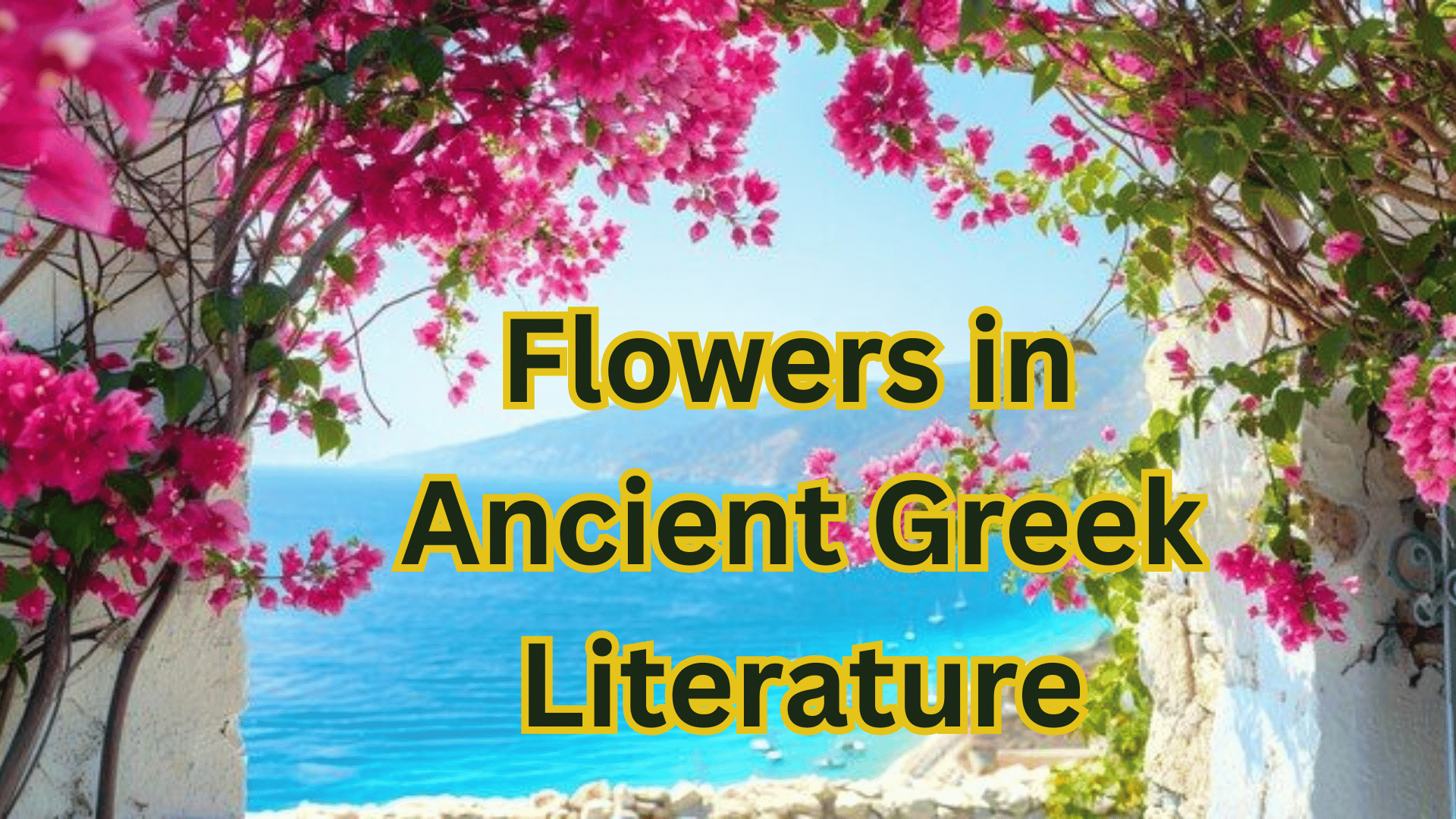 40+ Beautiful and Fascinating Flower Names in Greek 1 Flower Names in Greek