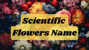 Scientific Flowers Name