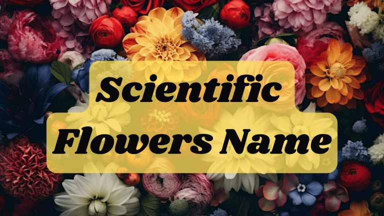 Scientific Flowers Name